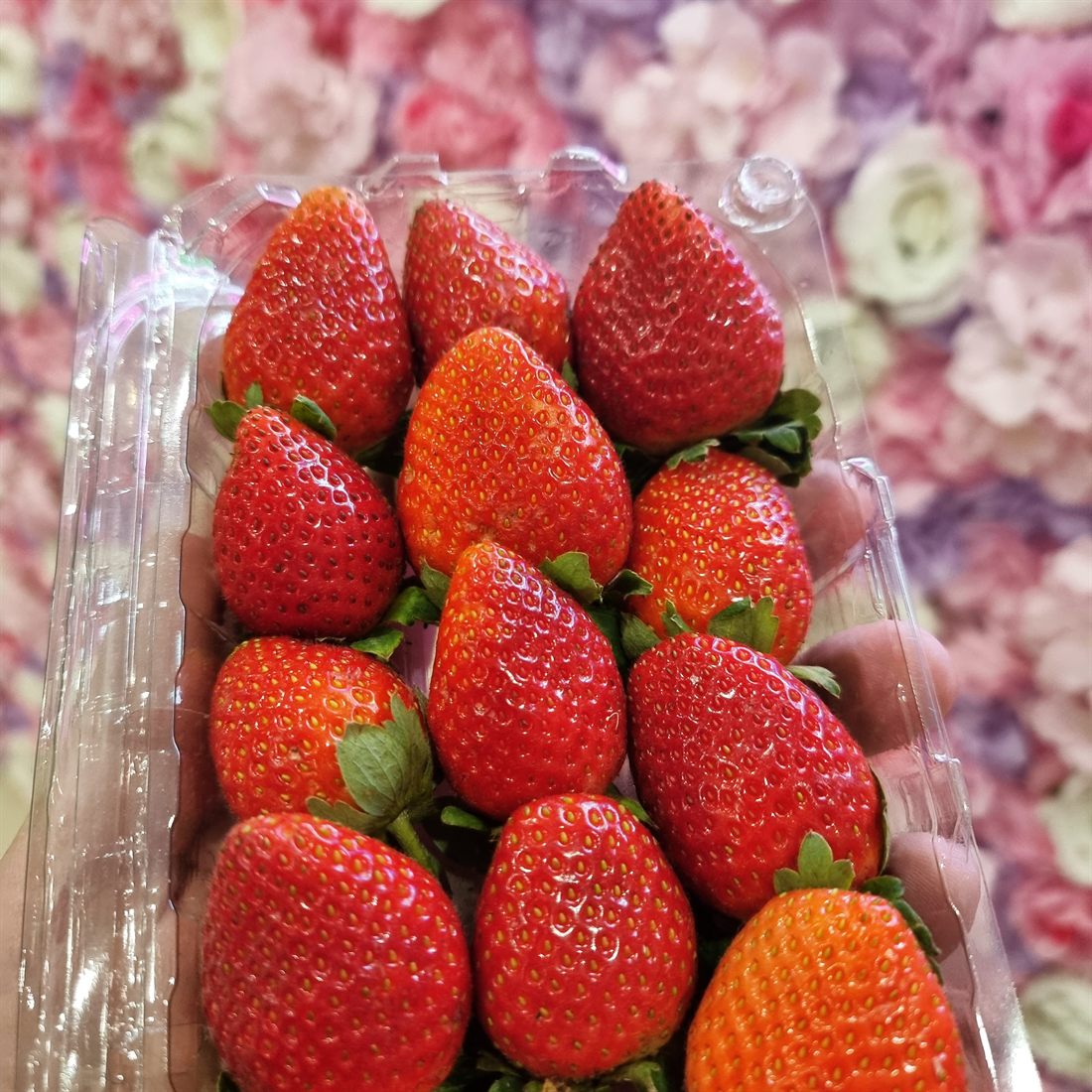 Свежая клубника, бокс 250 г